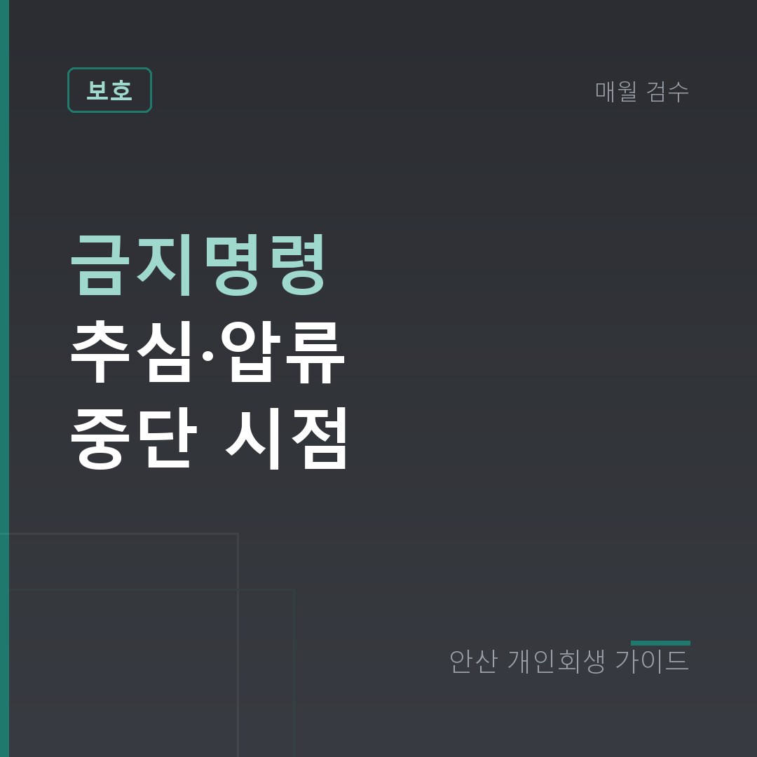 안산 개인회생 금지명령 추심·압류 중단 시점