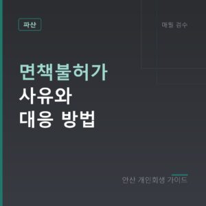 안산 개인회생 면책불허가 사유와 대응 방법