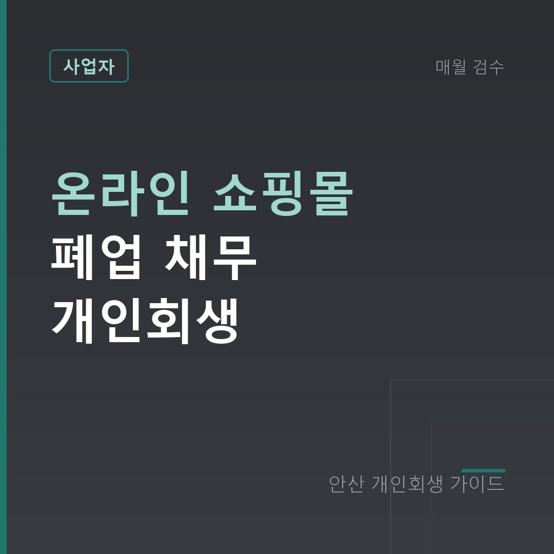 온라인 쇼핑몰 폐업 개인회생 | 셀러 재고·광고비·정산 채무