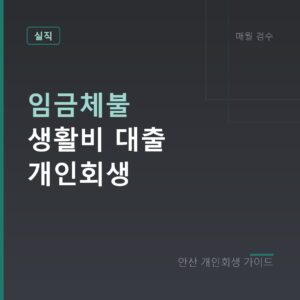 안산 개인회생 임금체불 생활비 대출 개인회생